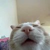 Avatar of Kgaming