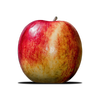 Avatar of Hn504games