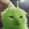 Avatar of aceharp