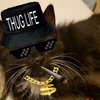 Avatar of TheAkuiBombBaby