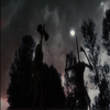 Avatar of trlvaboi