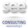 Avatar of Seeconsulting