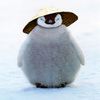 Avatar of BlizzardingPenguin