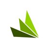 Avatar of Estudio Cactus