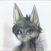 Avatar of shenglongfox