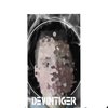 Avatar of Devintiger