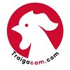 Avatar of Trại Gà Cam