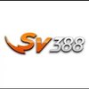 Avatar of Sv388