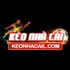 Avatar of keonhacailcom