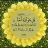 Avatar of Mahmoud.Mhammed