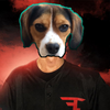 Avatar of evie701