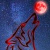 Avatar of krivza