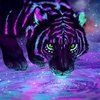 Avatar of Tigre.Trianwart