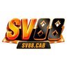 Avatar of SV88 - Web cá cược Châu Âu