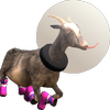Avatar of goat2