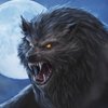 Avatar of Werwolf88