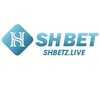 Avatar of Shbet