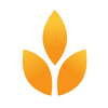 Avatar of New Mexico SEO Company