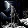 Avatar of lonewolf320