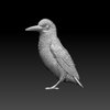 Avatar of explorertit36@gmail.com