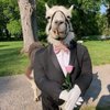 Avatar of Victorcstr