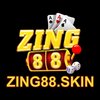 Avatar of Zing88 Skin