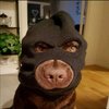 Avatar of mrpeely813