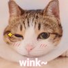 Avatar of wxyxhhccc