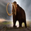 Avatar of mammoth tusk