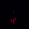Avatar of Currupted