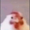 Avatar of Eggs