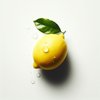Avatar of Lemon3d.com