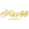 Avatar of godashio