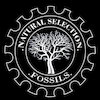 Avatar of Naturalselectionfossils