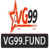 Avatar of vg99fund