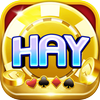 Avatar of Hayvin Blog