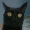Avatar of yotta117