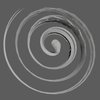 Avatar of Vortex pilorum
