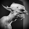 Avatar of DannyG.3D