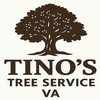 Avatar of Tino's Tree Service VA