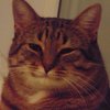 Avatar of 11SpaceMonkey11