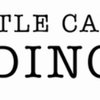 Avatar of The Little Canadian Trading Company Ltd.