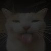 Avatar of beagleNF404