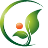 Avatar of 4S Slimming Pills