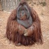 Avatar of playzcat392