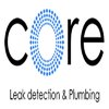Avatar of Core Leak Detection and Plumbing