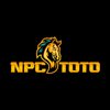 Avatar of npctoto