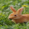 Avatar of a3regesrhwtegsv