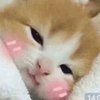 Avatar of XxGamerxX