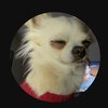 Avatar of Ben_tsh